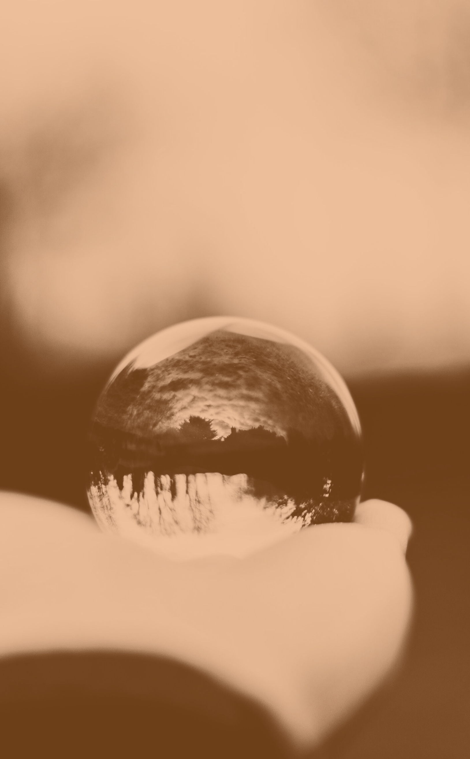 Art & Oracle With Nicole Buffett